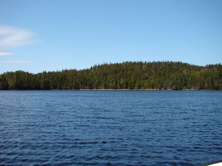 View of the pond 